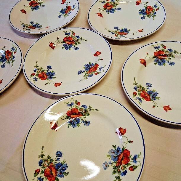 6 flat plates from Salins les Bains, "Poppies" pattern, in very good condition