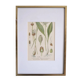 Botany under frame Wild garlic