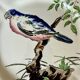 Service de table assiettes et plats Gien modèle grands oiseaux