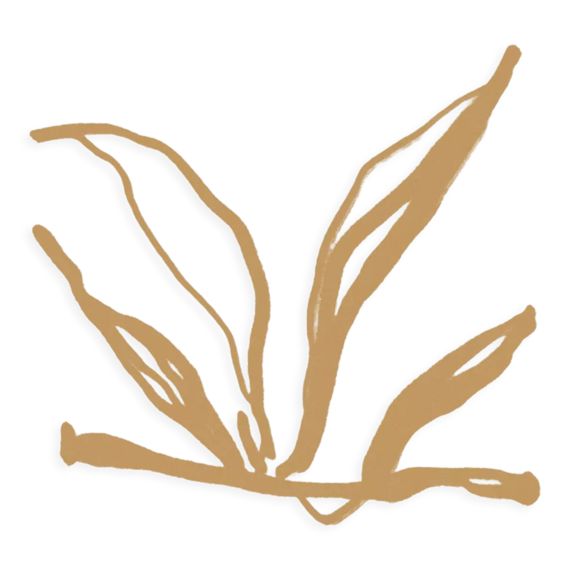 Botanical illustration giclee print, 50x70