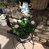 Peppermint and gold "cafetiere" watering can