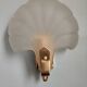 Shell-shaped wall lamp in frosted glass and vintage brass
