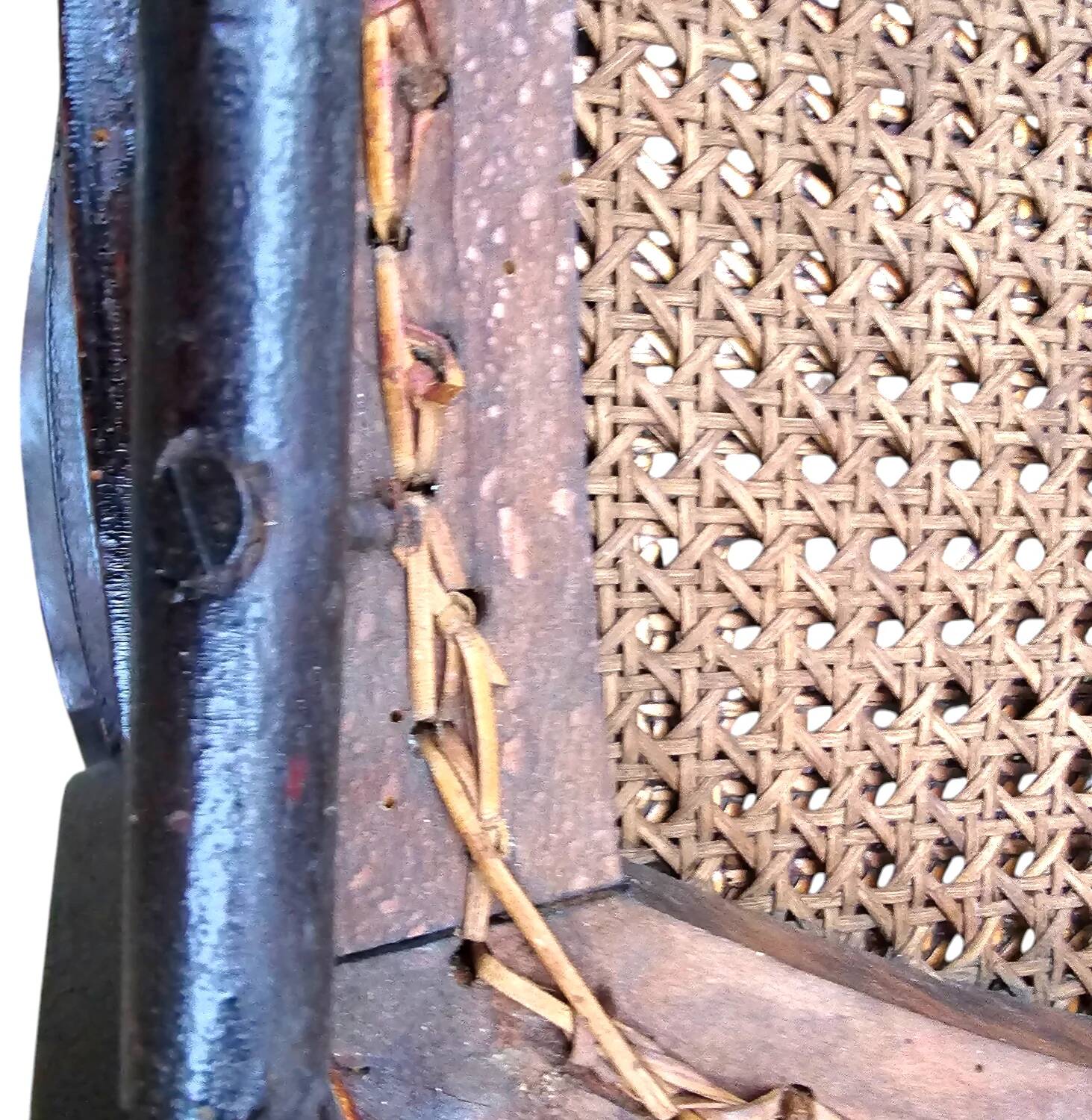 Napoleon III chairs 19th century / dining chairs