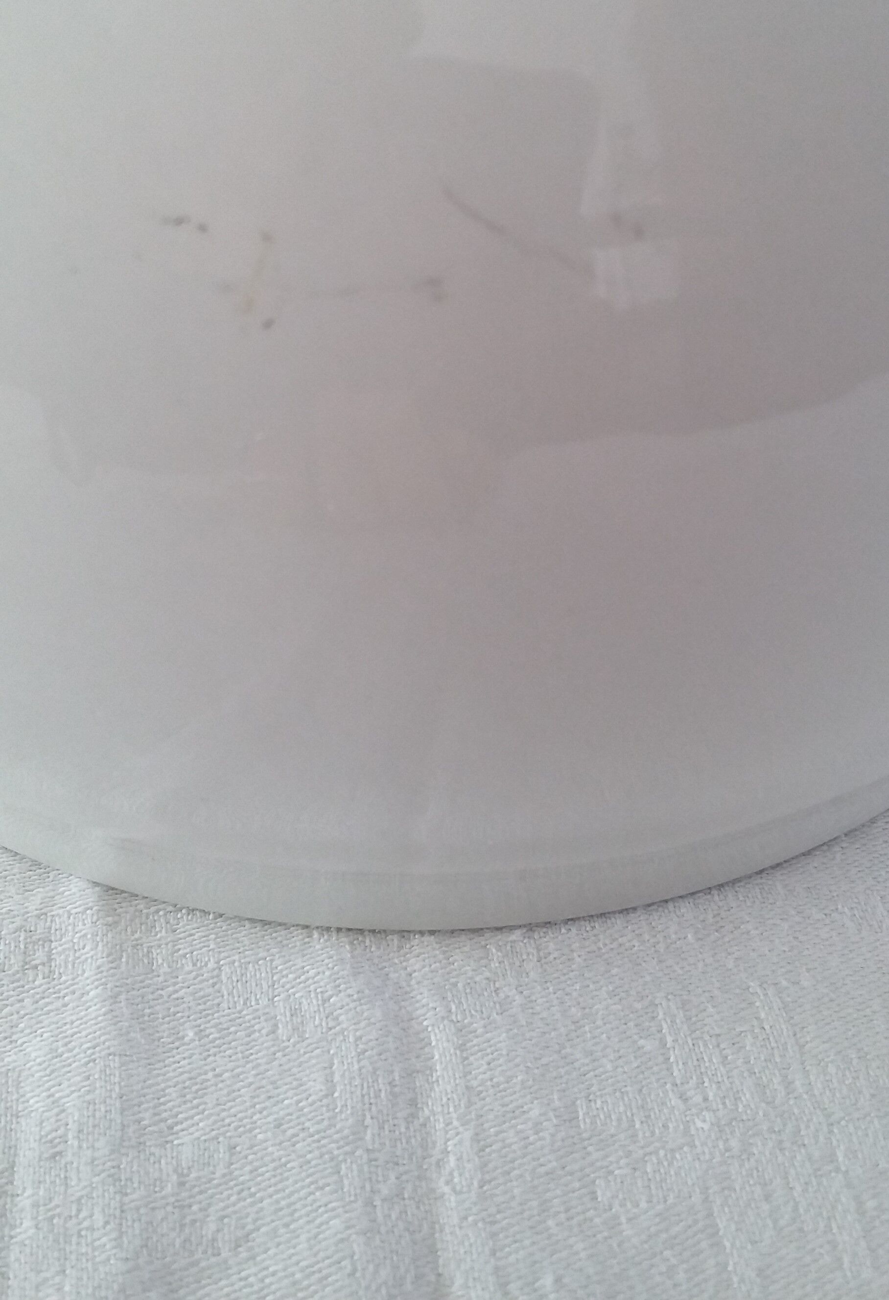 White porcelain soup with lions head