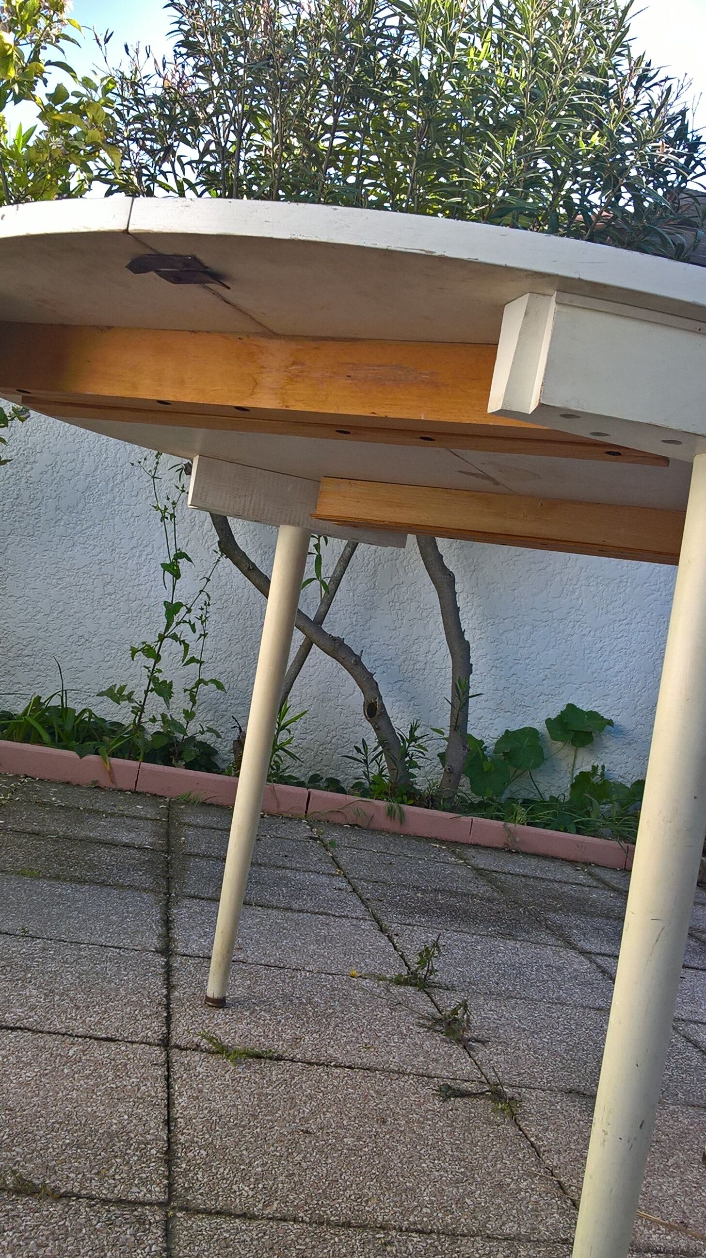 Hans Olsen dining set for Frem Rojle Denmark 1960