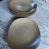6 plates