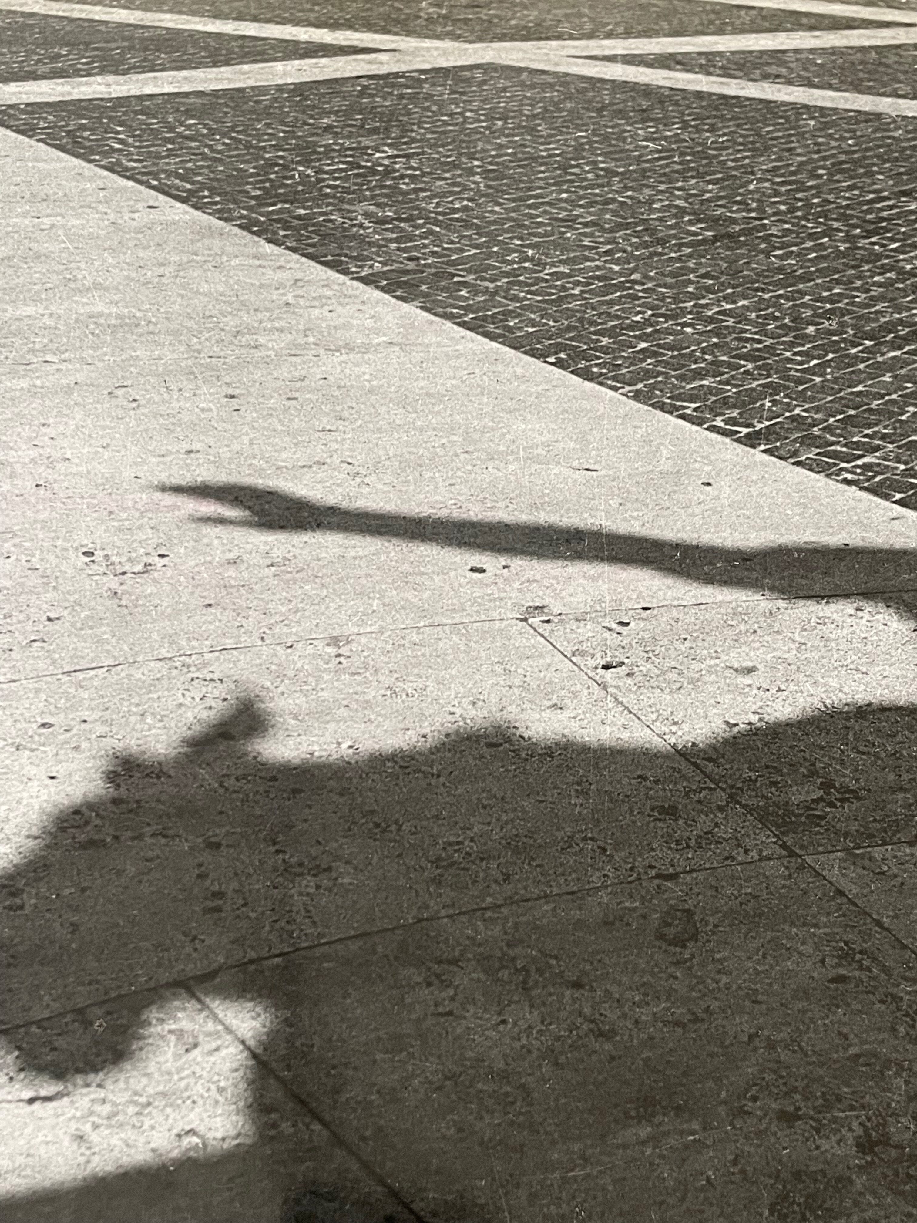 Black and white silver photography early twentieth century