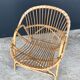 Rattan shell armchair