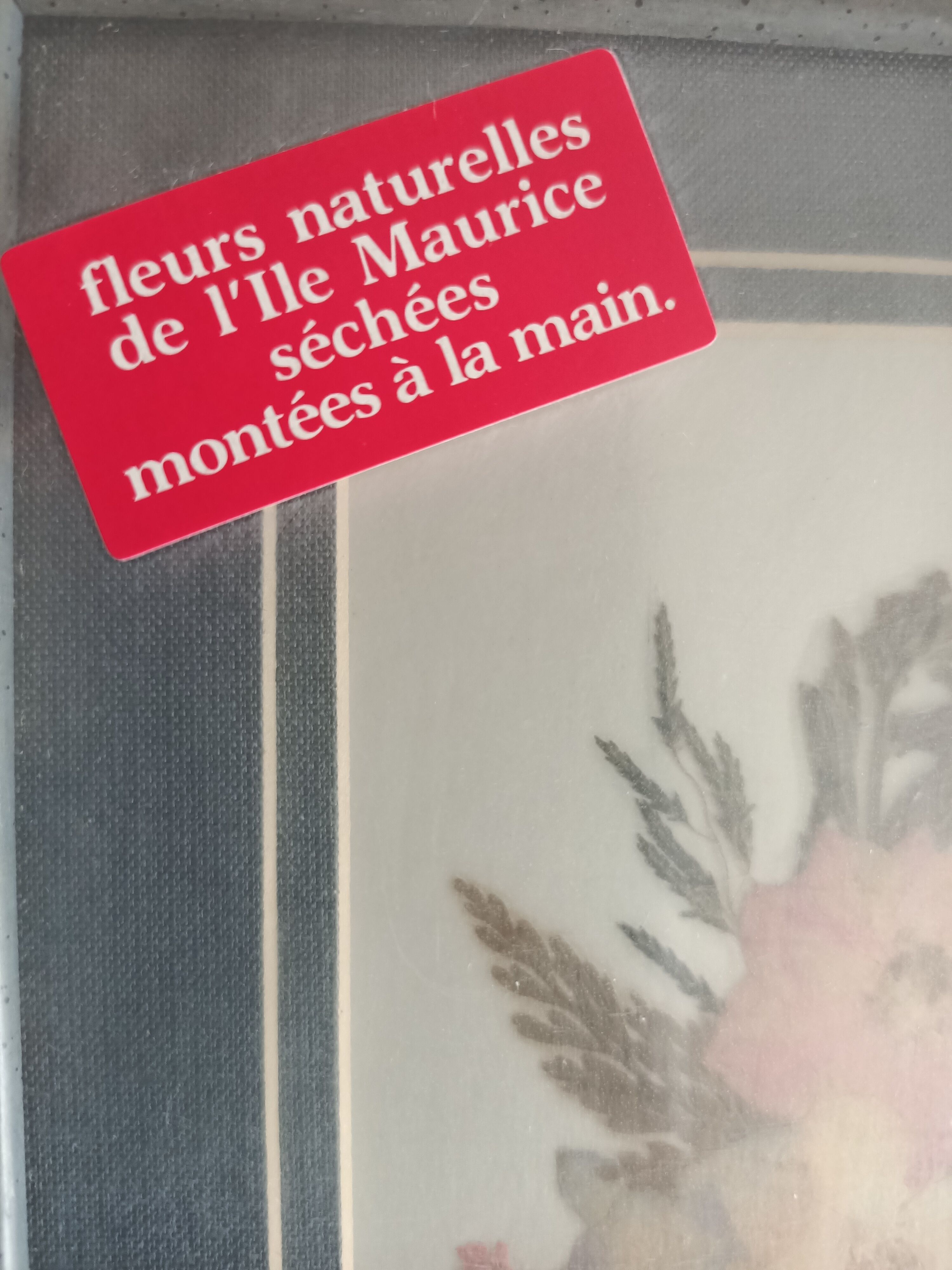 5 herbariums, framed floral arrangement