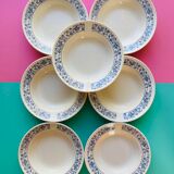 Hollow plate in faience pattern vintage blue bird j.v liex