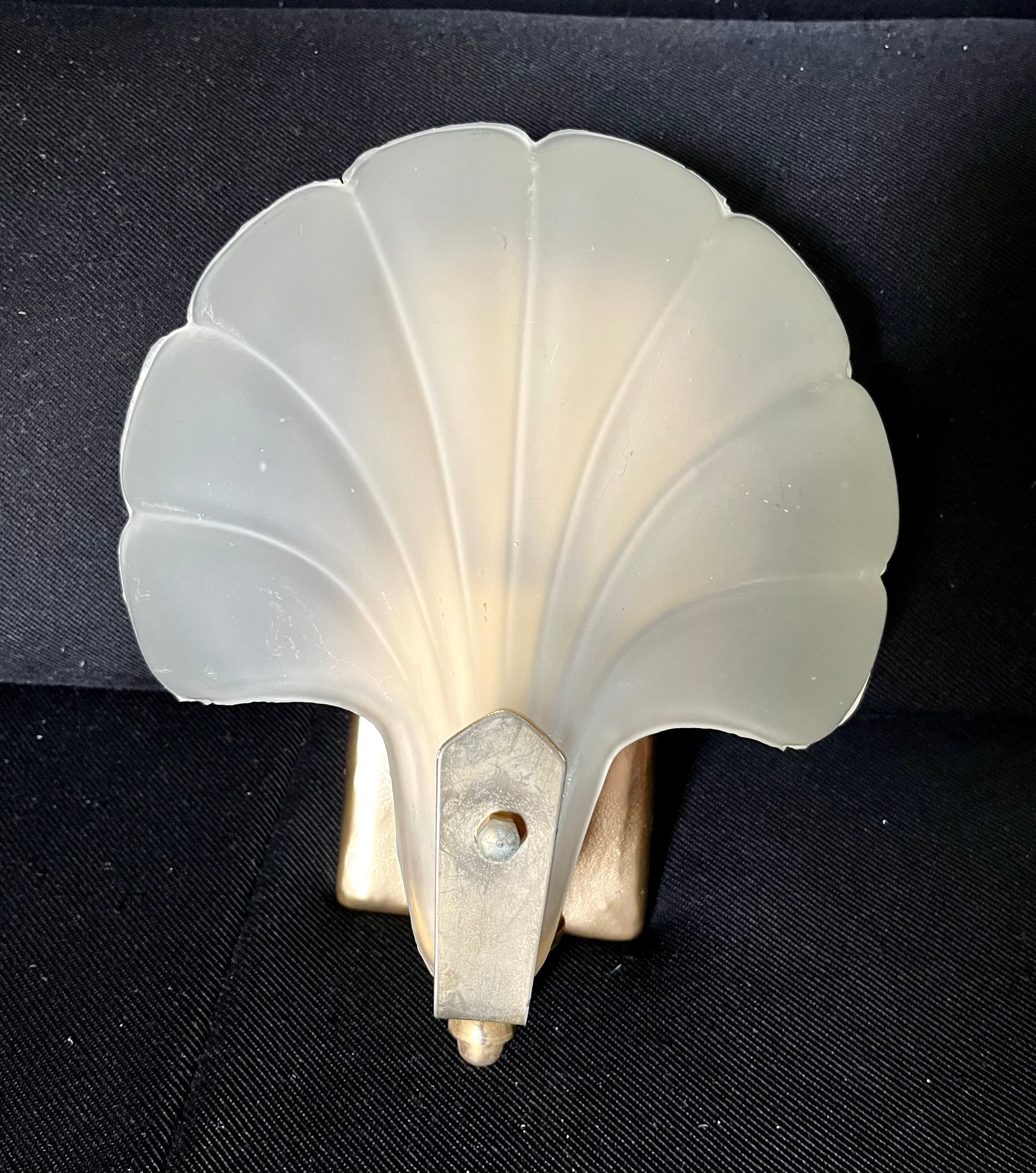 Shell wall lamp