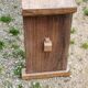 Brutalist antique bench in solid mahogany and solid oak