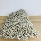 Old XL coral 51 cm