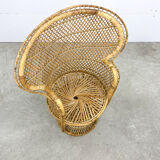 Peacock chair for kids