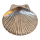 Silver-plated metal shell bowl