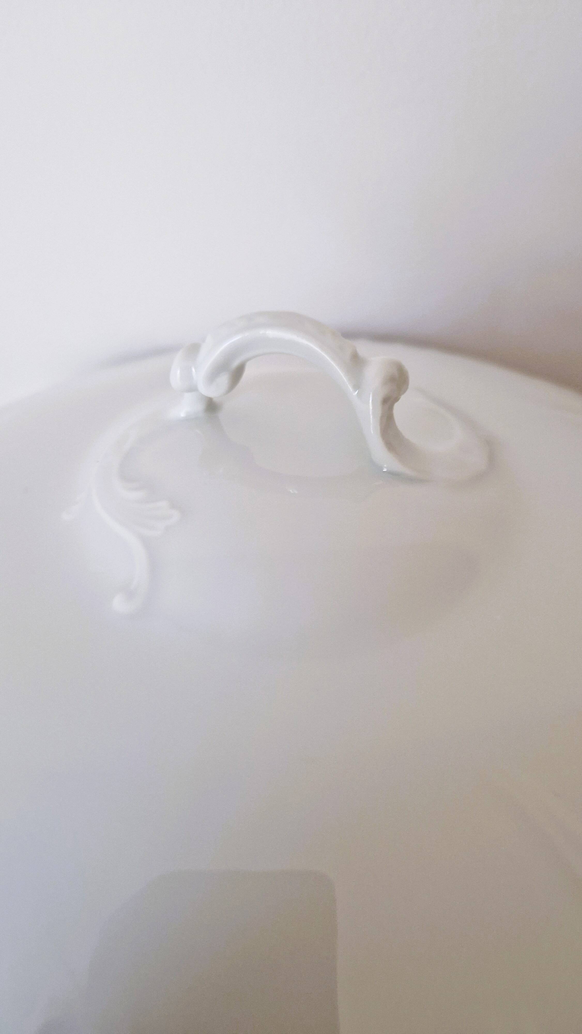White porcelain soup tureen from Limoges with a vegetal scroll design.