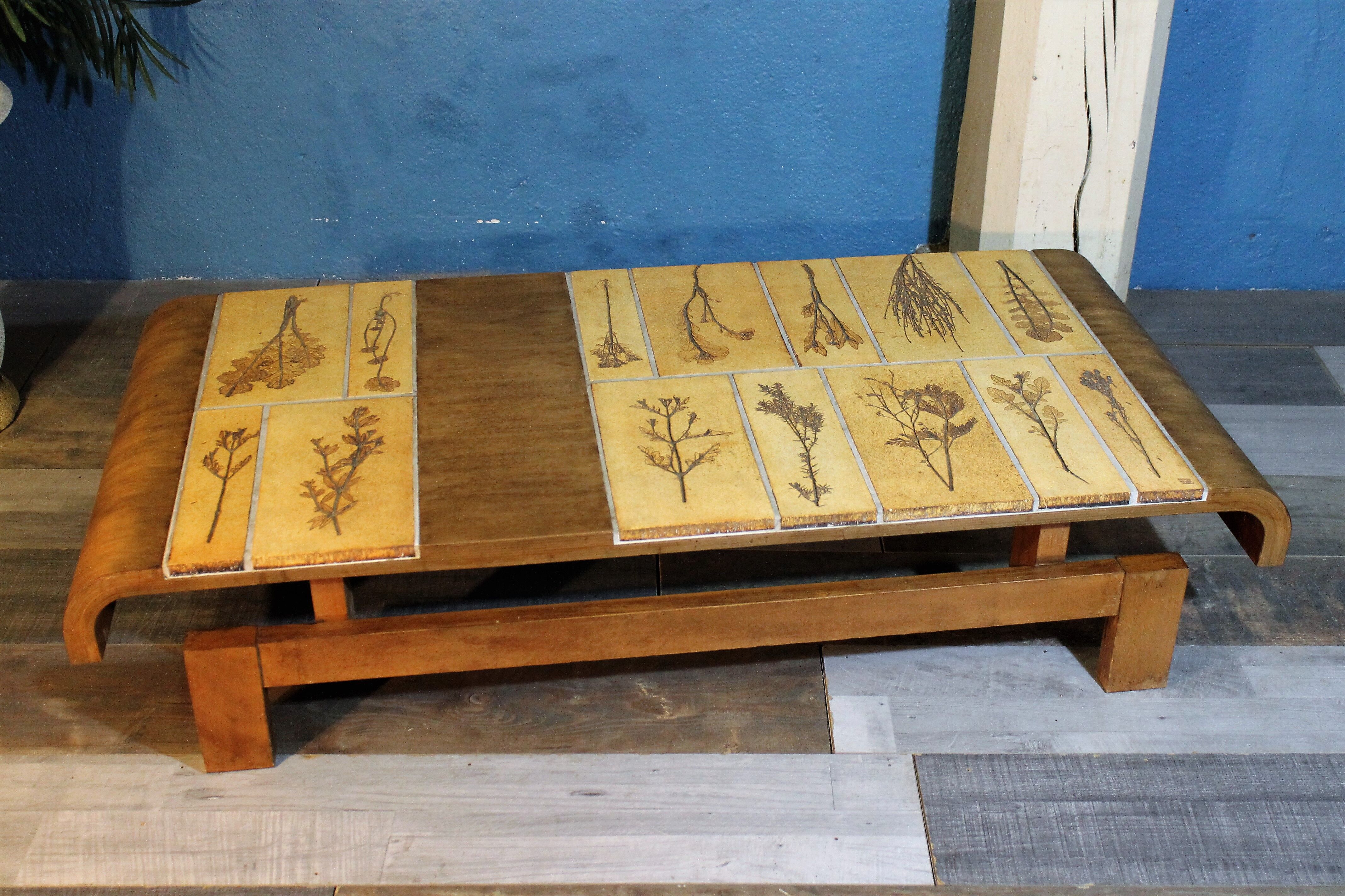 Herbarium Capron coffee table, 1960s