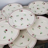 Flat plates x12 - Badonviller