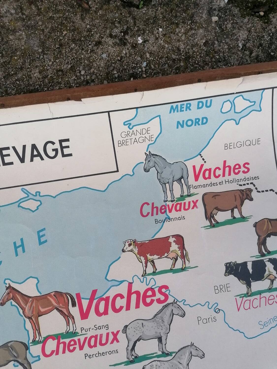 Ancienne affiche scolaire MDI France, le gros élevage et le Rhône.