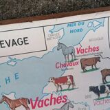 Ancienne affiche scolaire MDI France, le gros élevage et le Rhône.