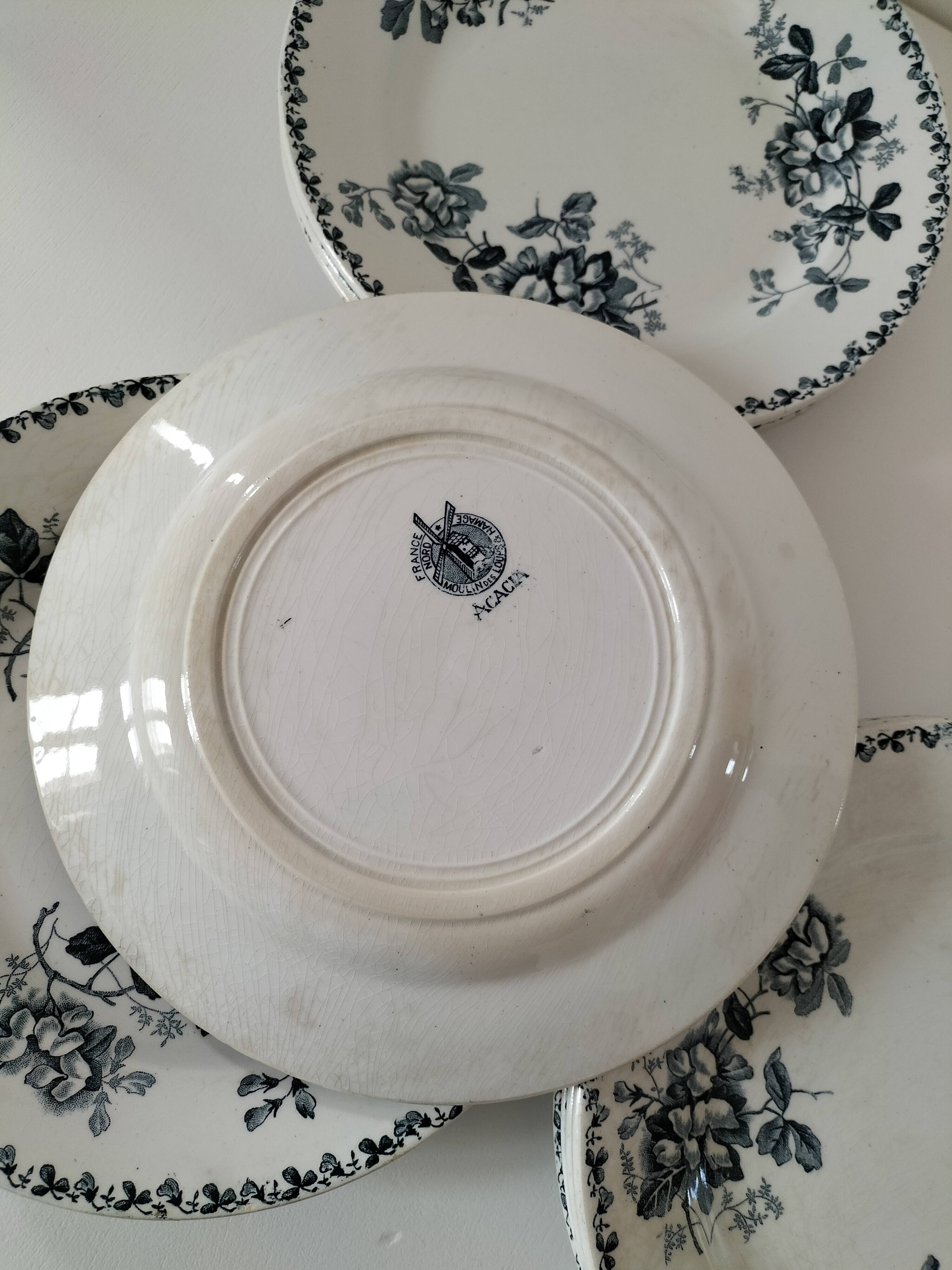 Set of 10 ironstone plates Moulin des Loups Acacia