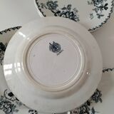 Set of 10 ironstone plates Moulin des Loups Acacia