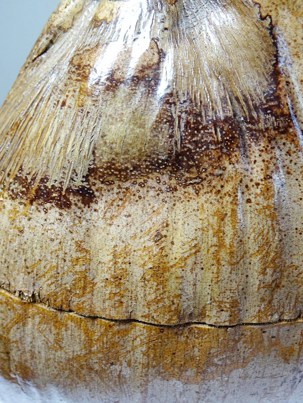 Curiosity vintage box from the 50s-60s, naturalised coconut ice bucket.
