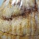 Curiosity vintage box from the 50s-60s, naturalised coconut ice bucket.