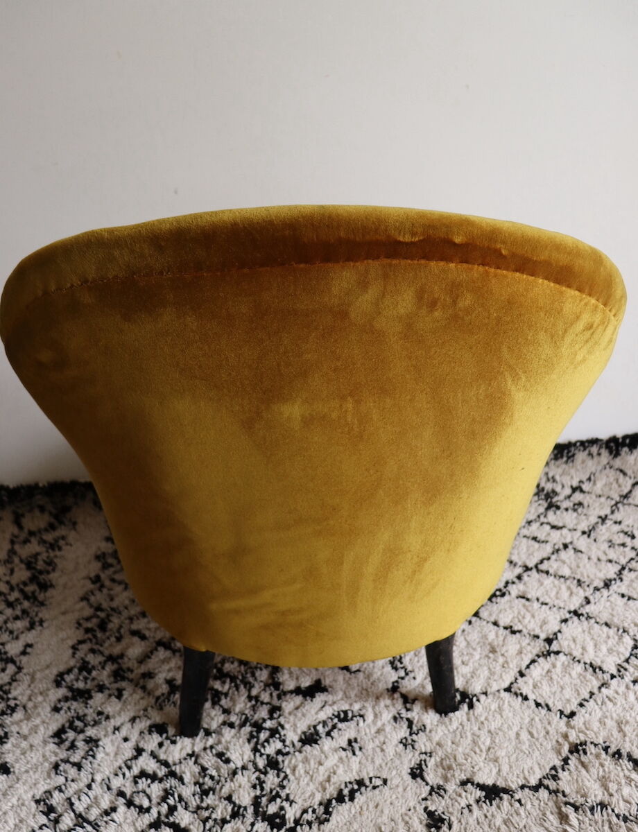 Ochre toad Napoleon III