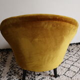 Ochre toad Napoleon III