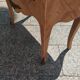 Antique commode in marquetry in the Louis XV style with a marble top.
