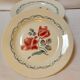 Set of 8 old flat plates from digoin sarreguemines earthenware factories - cannes model