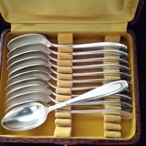 Apollo Silver-Plated Metal 11-Piece Teaspoon Set