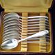 Apollo Silver-Plated Metal 11-Piece Teaspoon Set