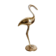 Brass Ibis