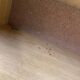 Pair of vintage bedside tables