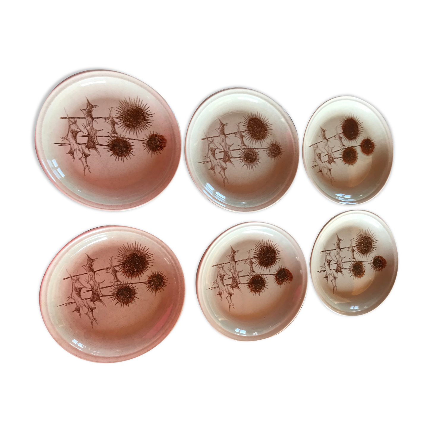 Set of 6 beige plates in Sarreguemine sandstone thistles