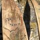 Paire de skis en bois vintage