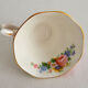 Royal English porcelain tea cup Albert "Lady Carlyle"