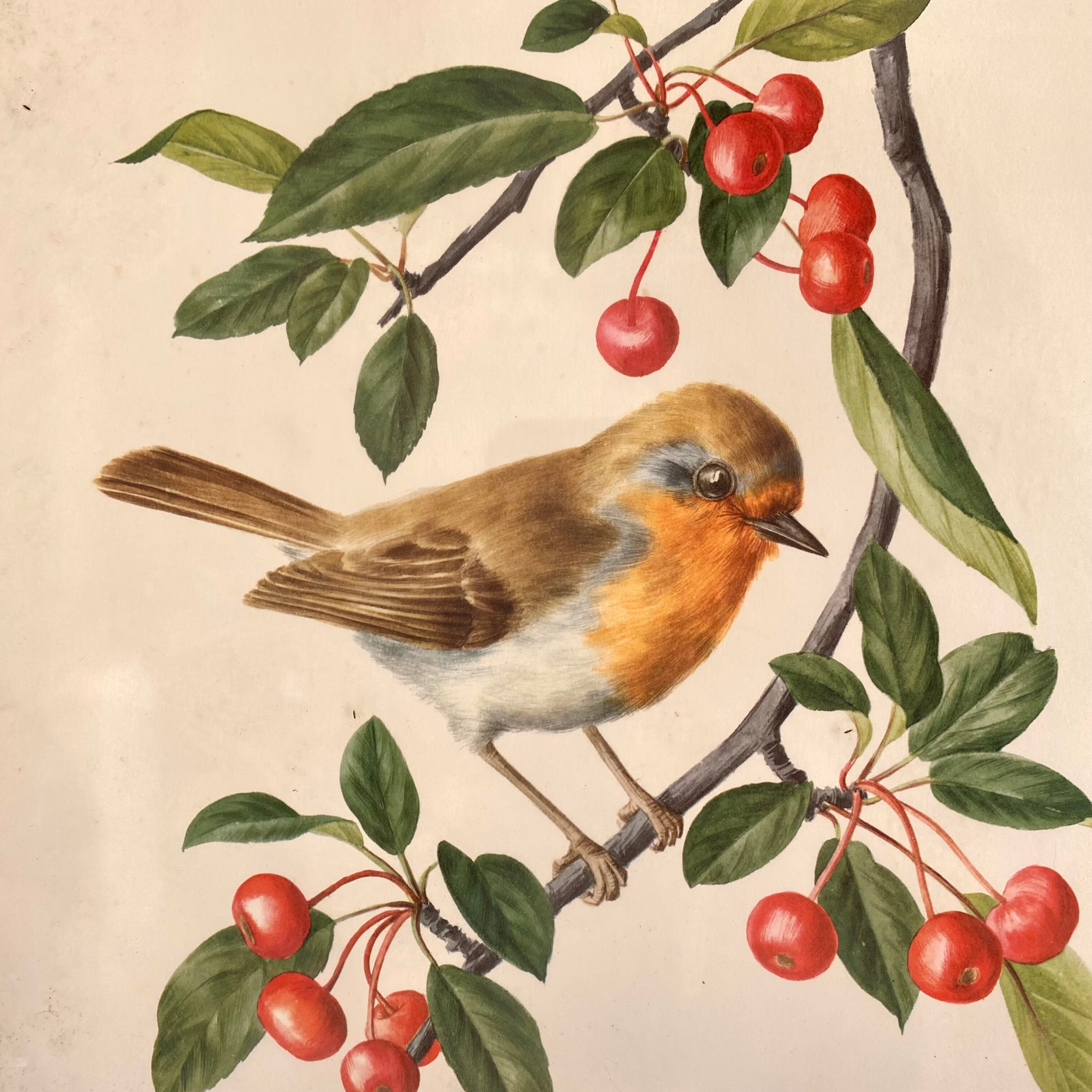 Antique engraving bird in metal frame