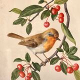 Antique engraving bird in metal frame