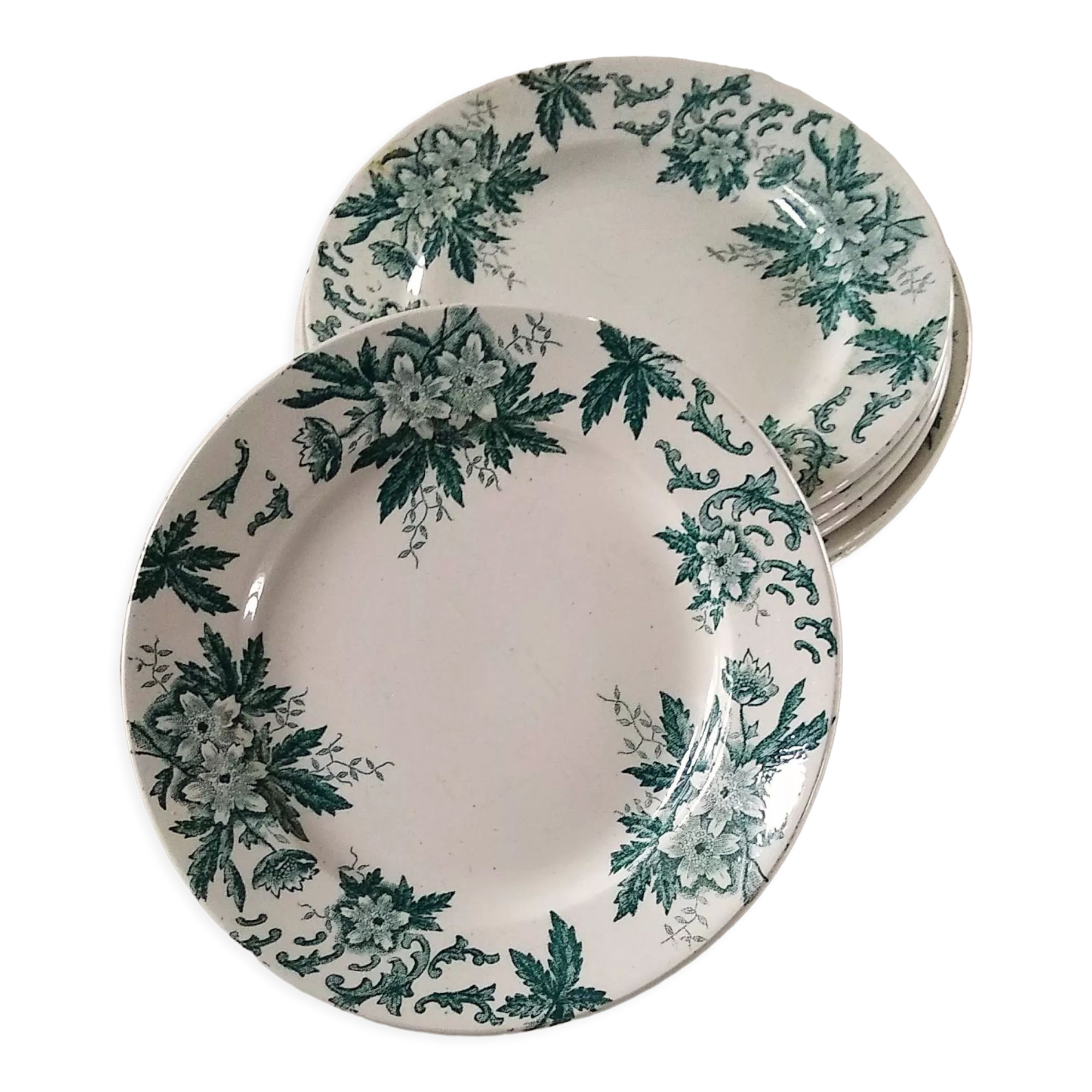 6 flat plates Anémone from St Amand in gray green color