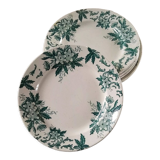 6 flat plates Anémone from St Amand in gray green color