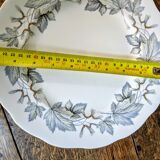 5 assiettes Royal Albert