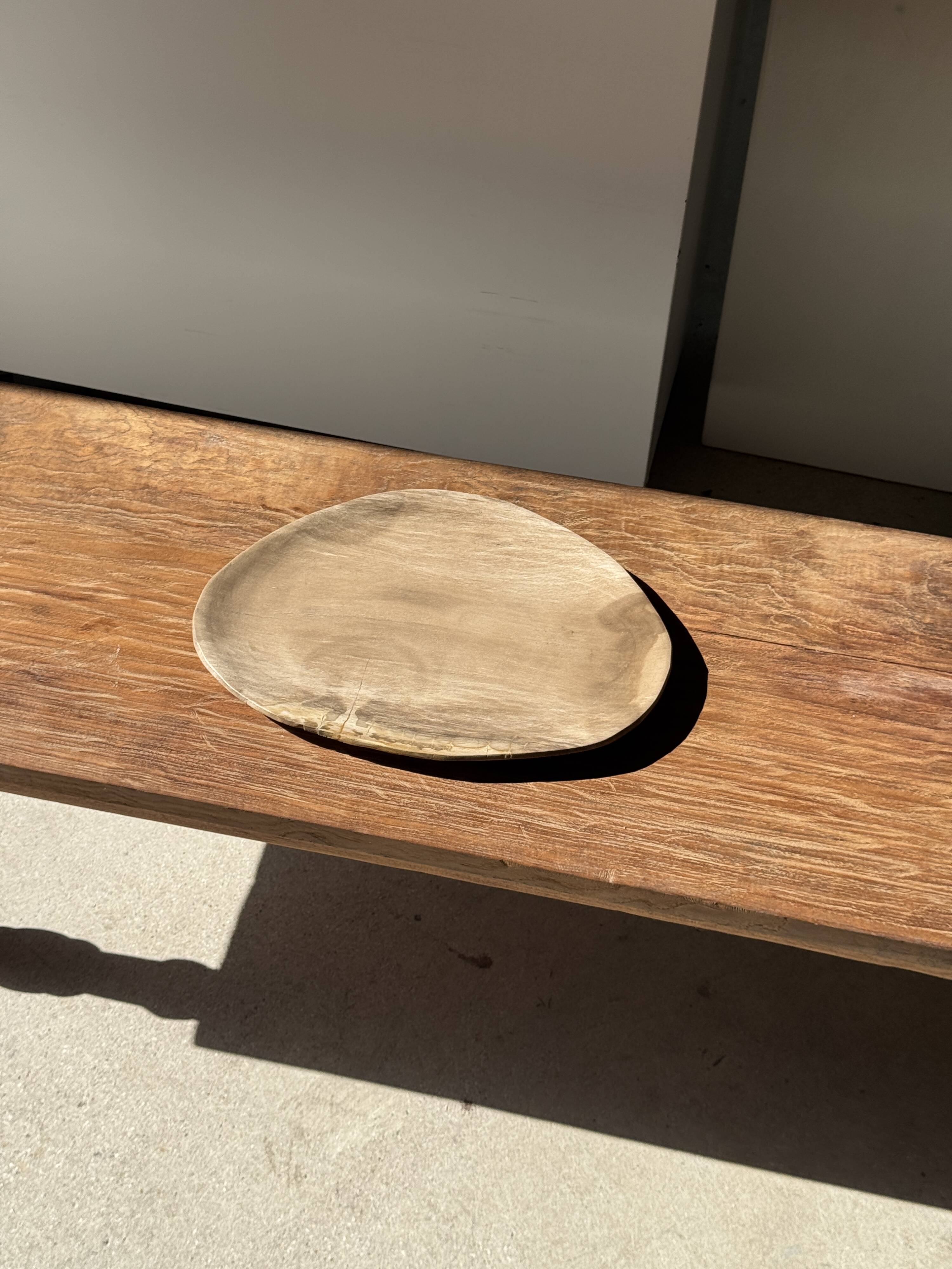Large oval beige petrified wood dish or bowl D36x28 -3783