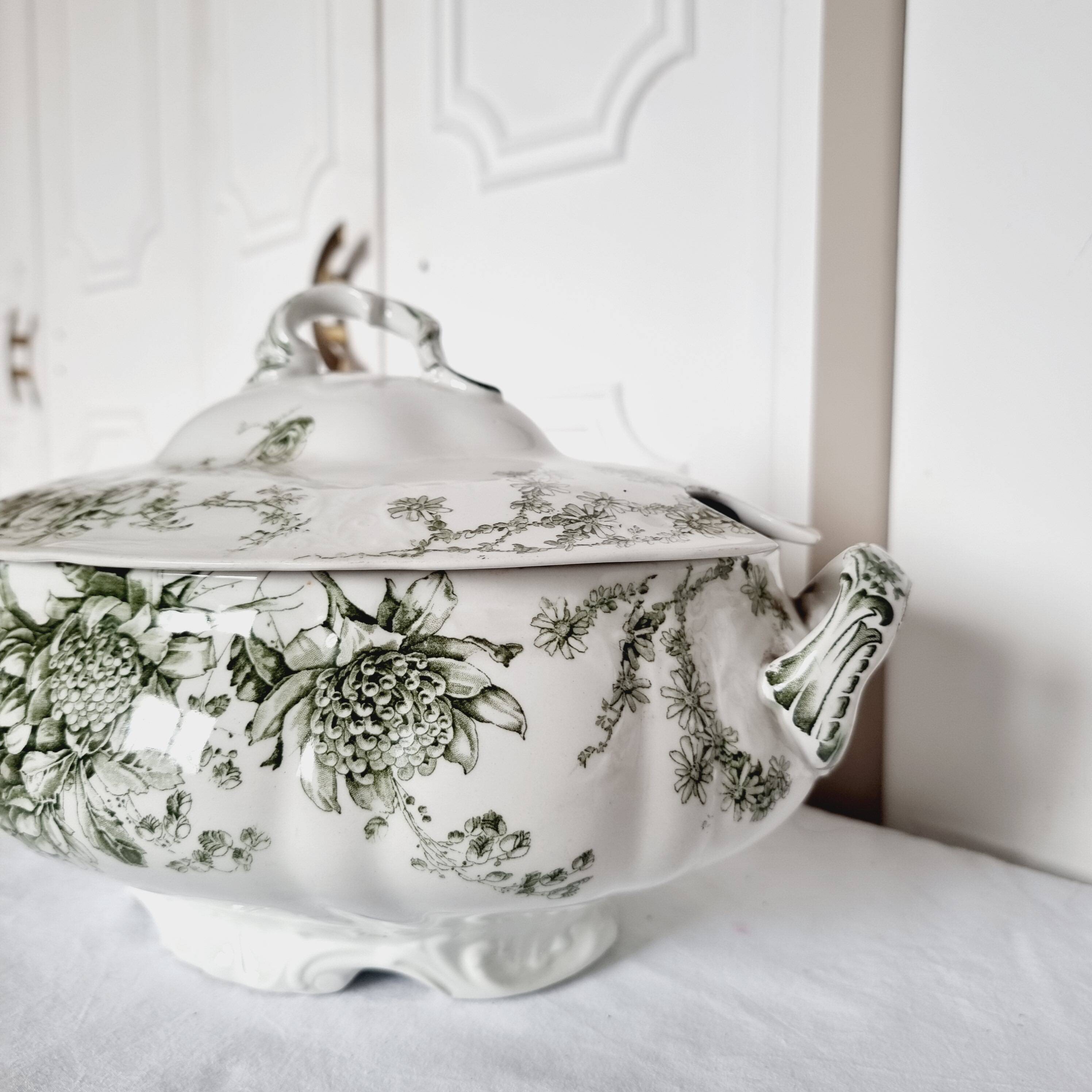 Antique Doulton Brurslem English Porcelain Tureen with Rose and Waratah Pattern from 1920