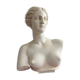 Antique bust in patinated plaster