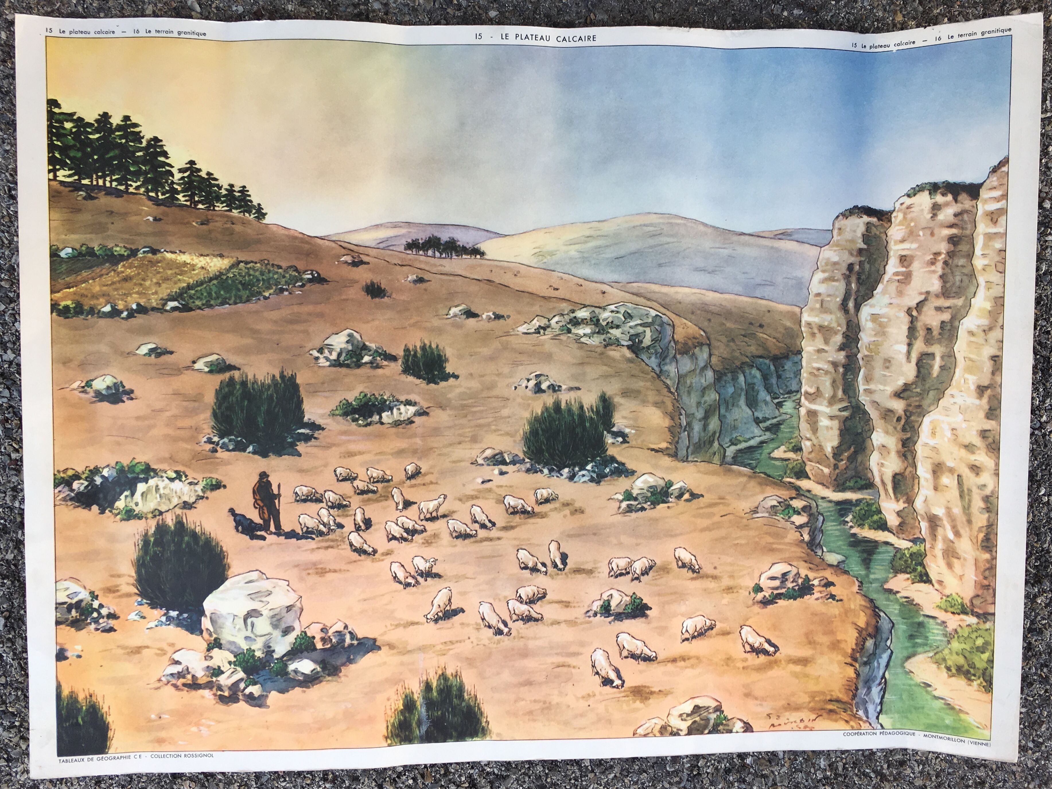 Geography poster