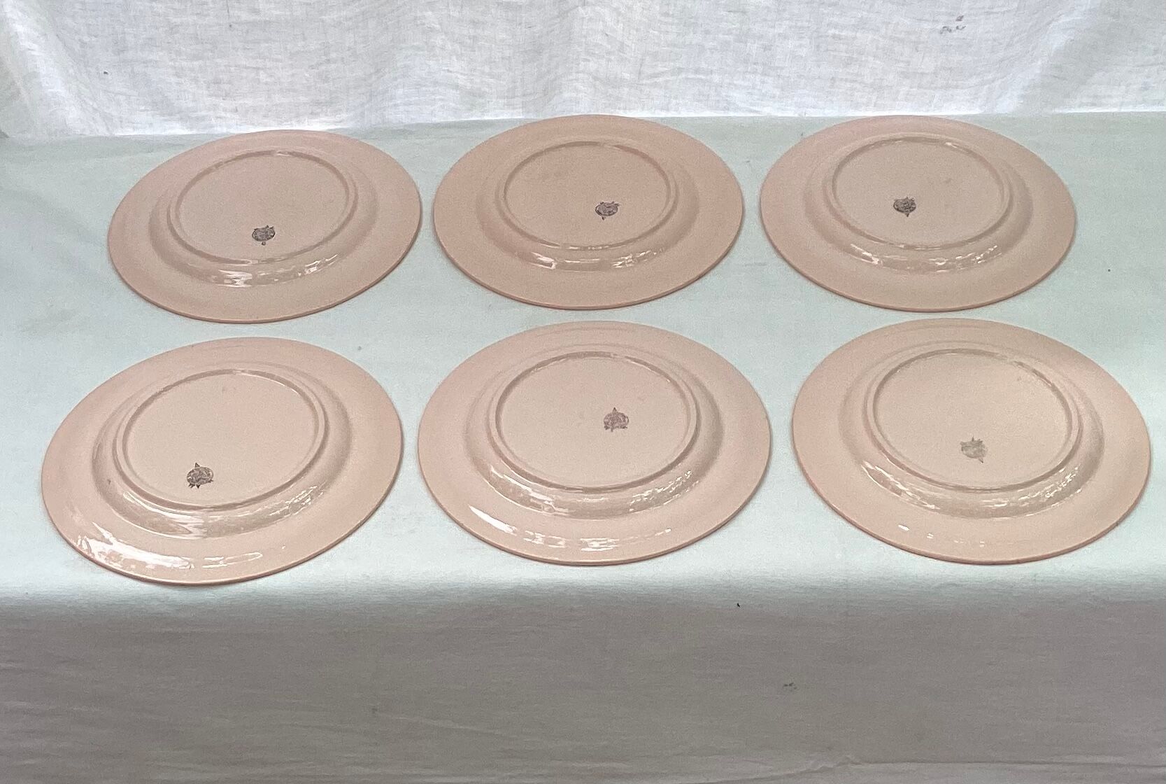 Set of six plates asparagus pale pink color porcelain dimension: D-25cm-
