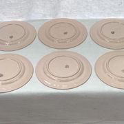 Set of six plates asparagus pale pink color porcelain dimension: D-25cm-
